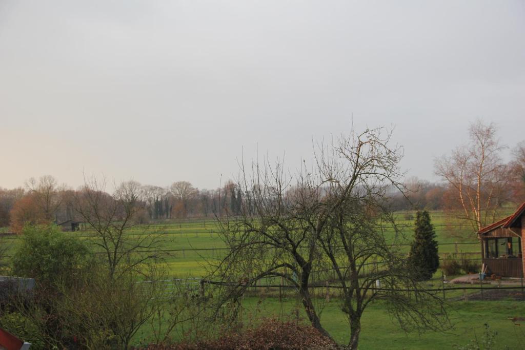 Gasthaus Eickholt Gmbh Ascheberg  Pokój zdjęcie